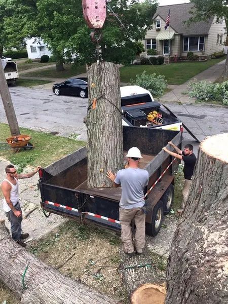 A man is loading a tree stump into a trailer.