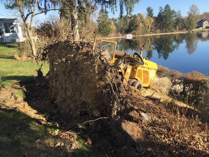 A large tree stump is sitting next to a body of water.