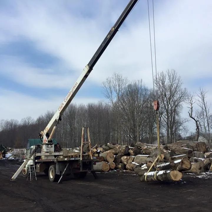 A crane is lifting a log in a pile of logs