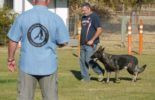 Sierra Canine Working Dogs