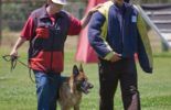 Sierra Canine Working Dogs