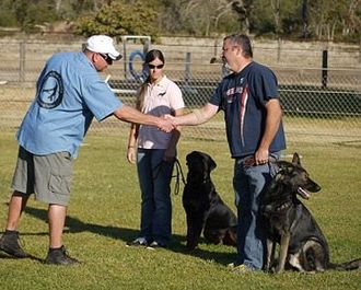 Chico dog training by Sierra Canine