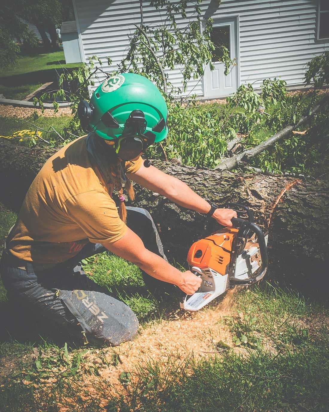 Cutting A Tree Stump — Cedar Rapids, IA — That Girl Tree Care