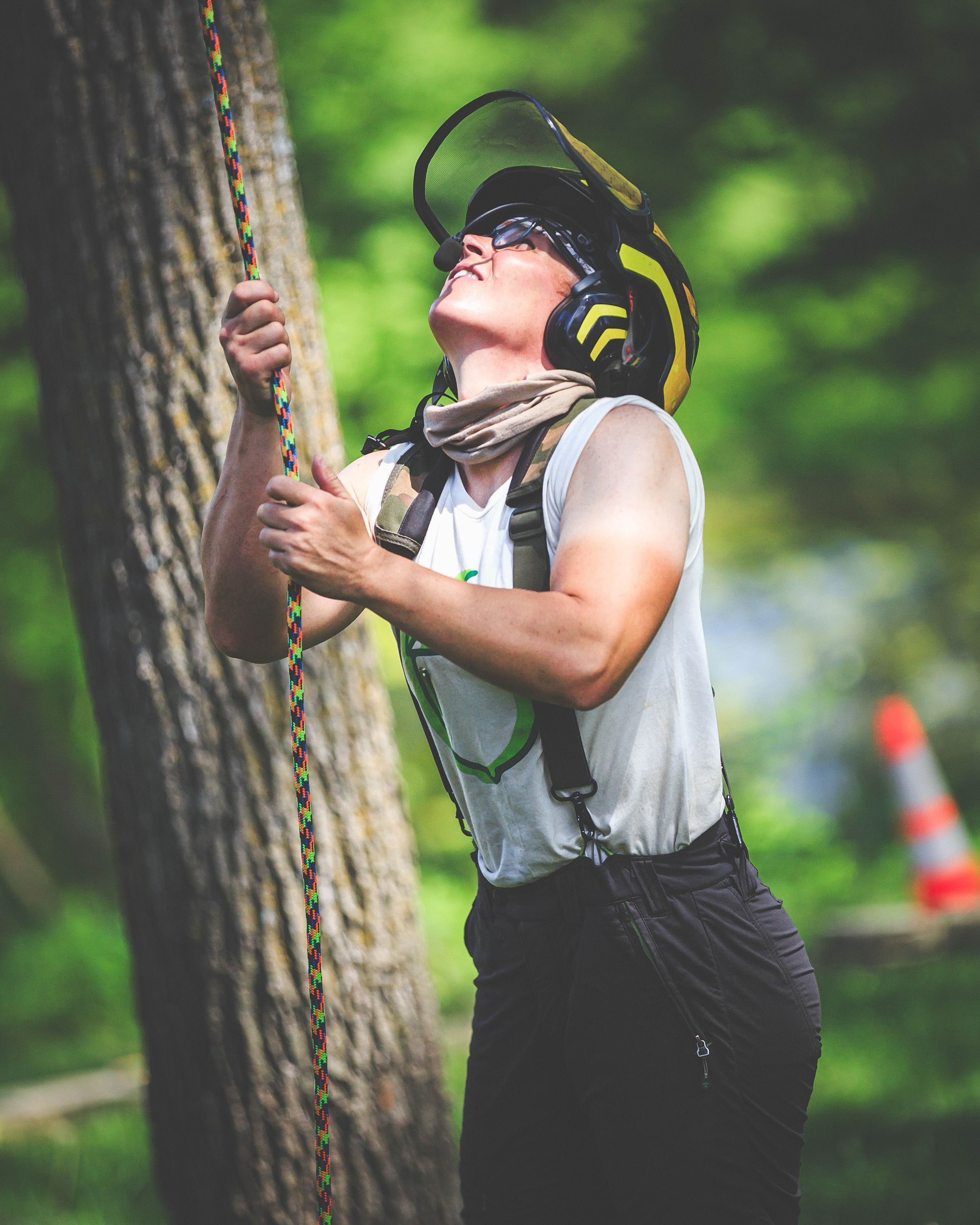 A man wearing a helmet is climbing a tree with a rope.