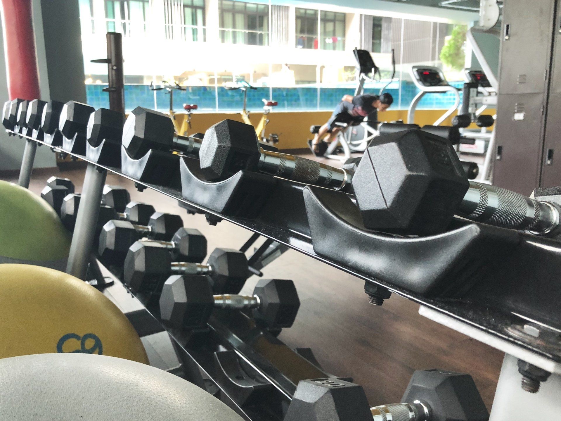 A bunch of dumbbells are lined up on a rack in a gym