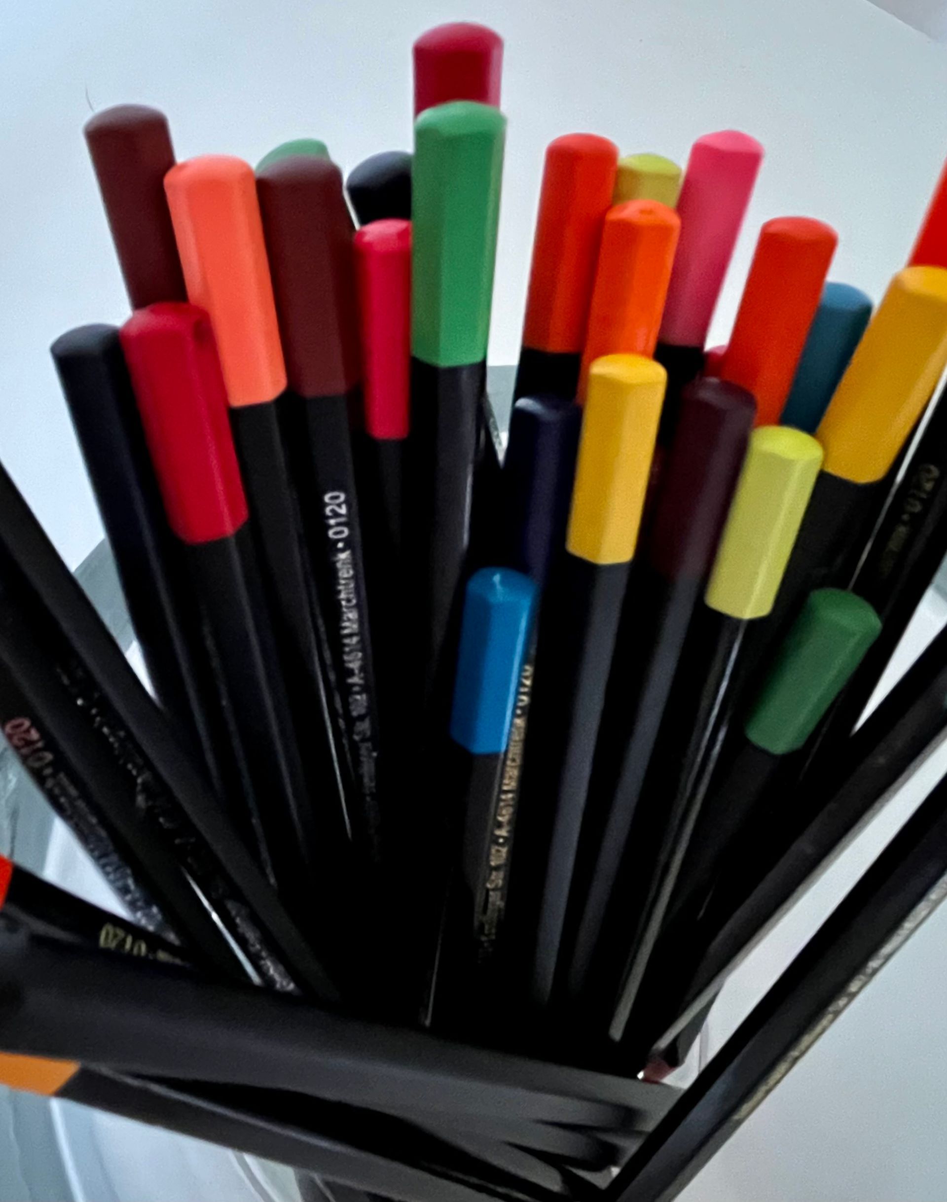 Viviana Pfannenstiel