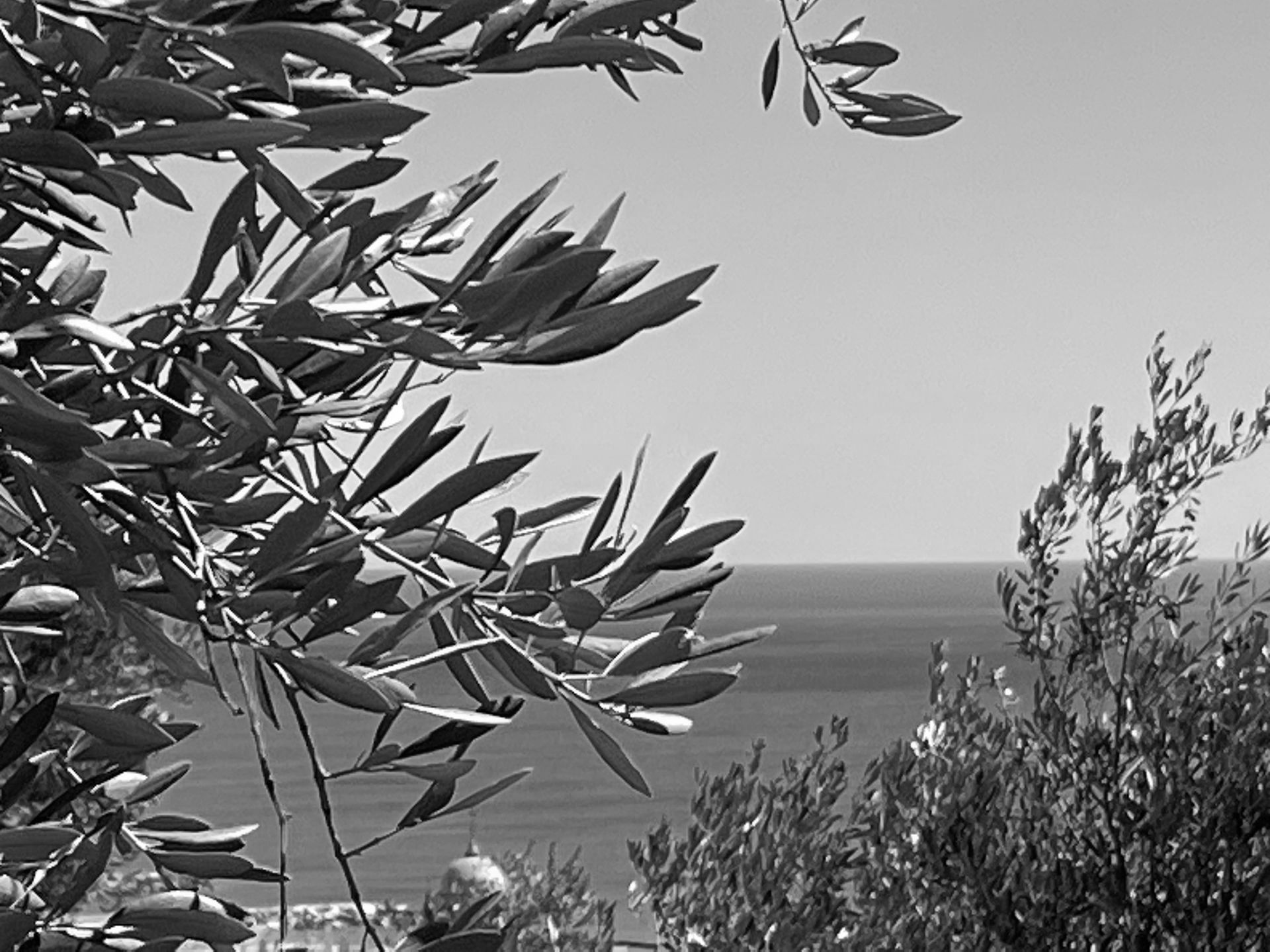 Sprachkurse Intensivkurse Einzelkurse private Kurse