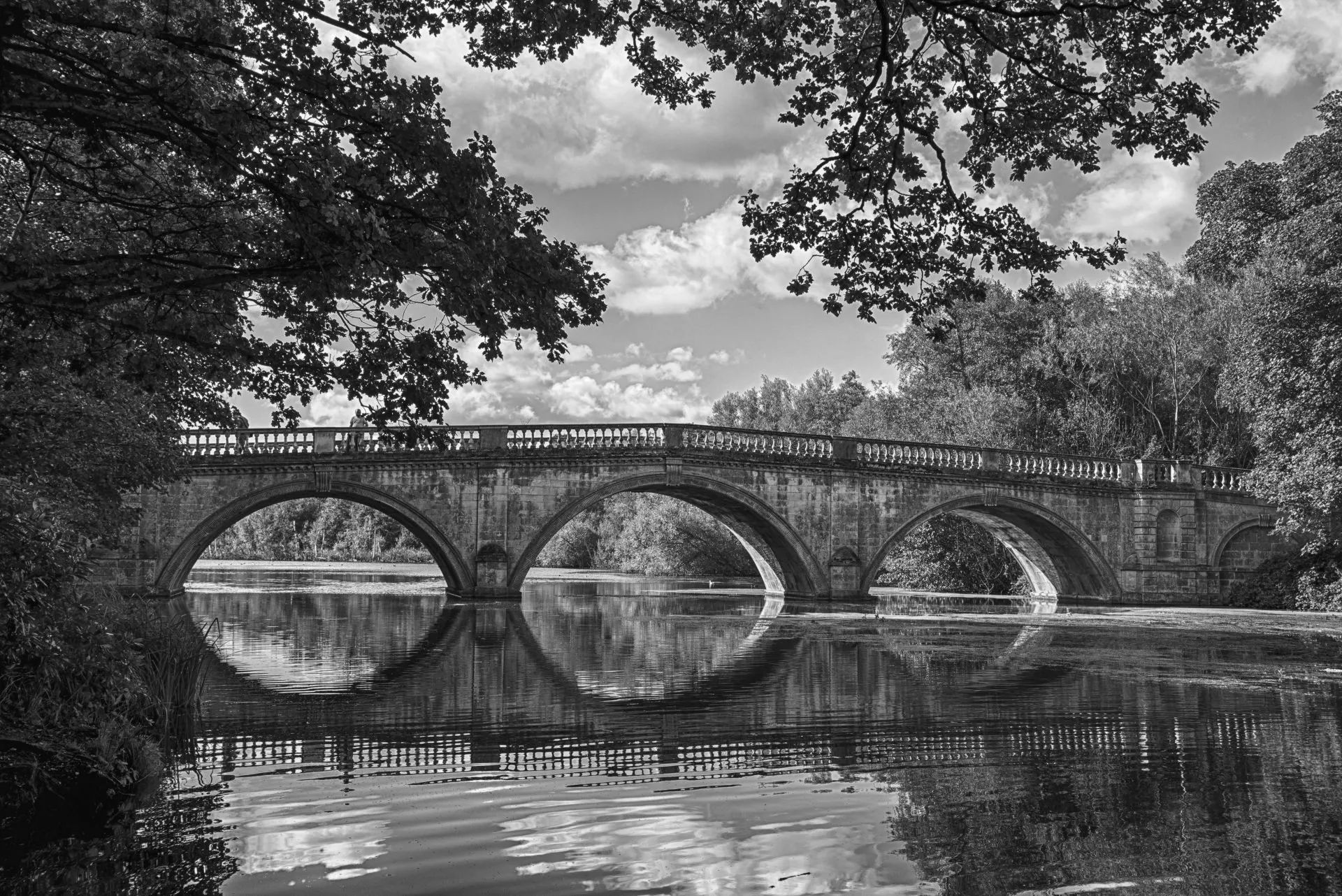 interculturalità, traduzione