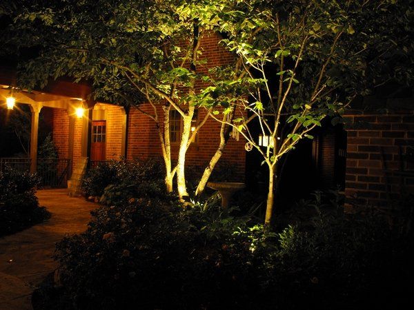 Trees are lit up in front of a brick house at night