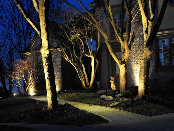 Trees are lit up in front of a house at night