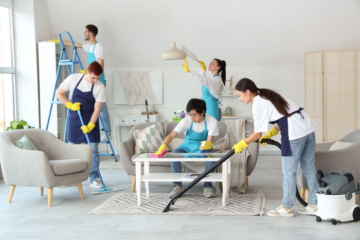 A group of people are cleaning a living room.