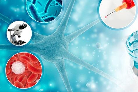 LABORATORIOS DE ANÁLISIS CLÍNICOS ESPECIALIZADOS DE SALTILLO SA DE CV