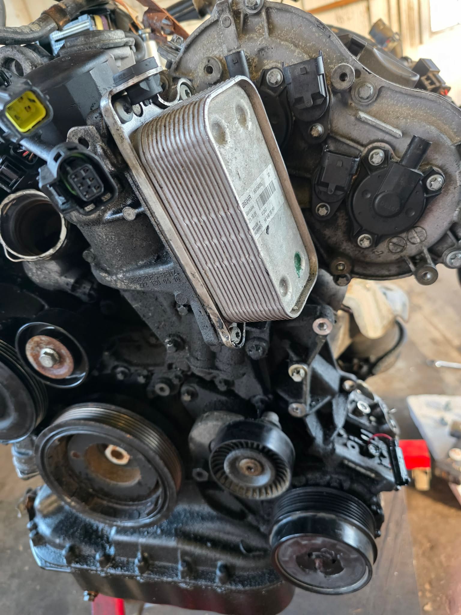 Black car engine with oil cooler, belts and pulleys visible. | Seth's Auto Care