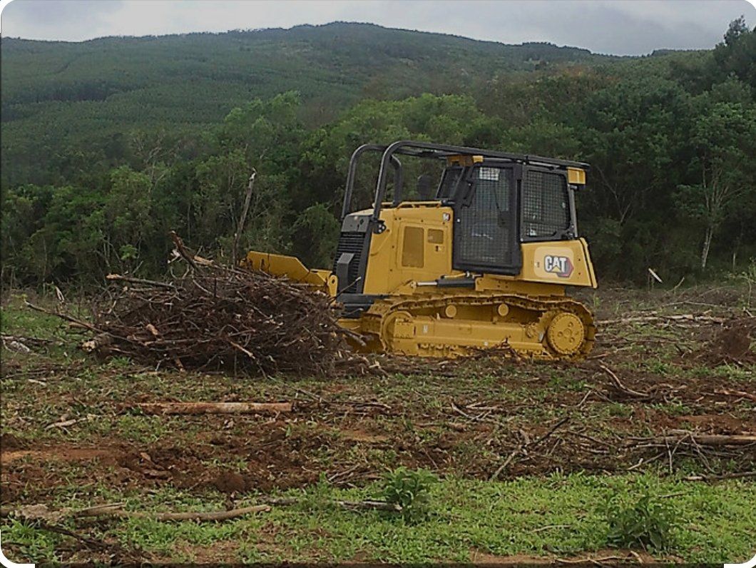 yellow bulldozer used for land clearing pushing a large pile of trees and debri. rough cuts construction