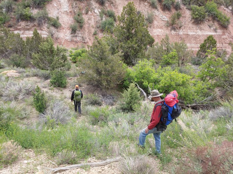 A man with a backpack is walking through a grassy field.