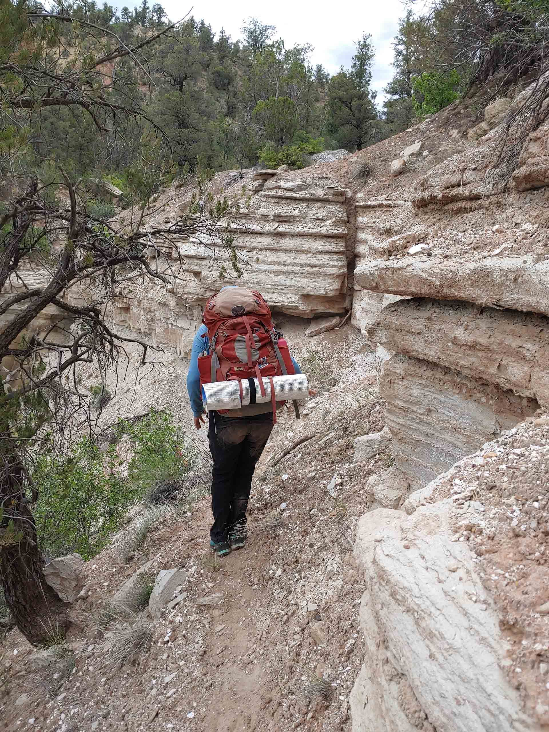 A person with a backpack is walking down a dirt path