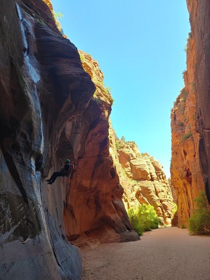 A person is climbing a rock wall in a canyon