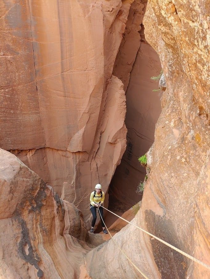 A person is hanging from a rope in a canyon