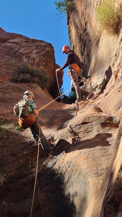 A group of people are climbing up a rock wall.