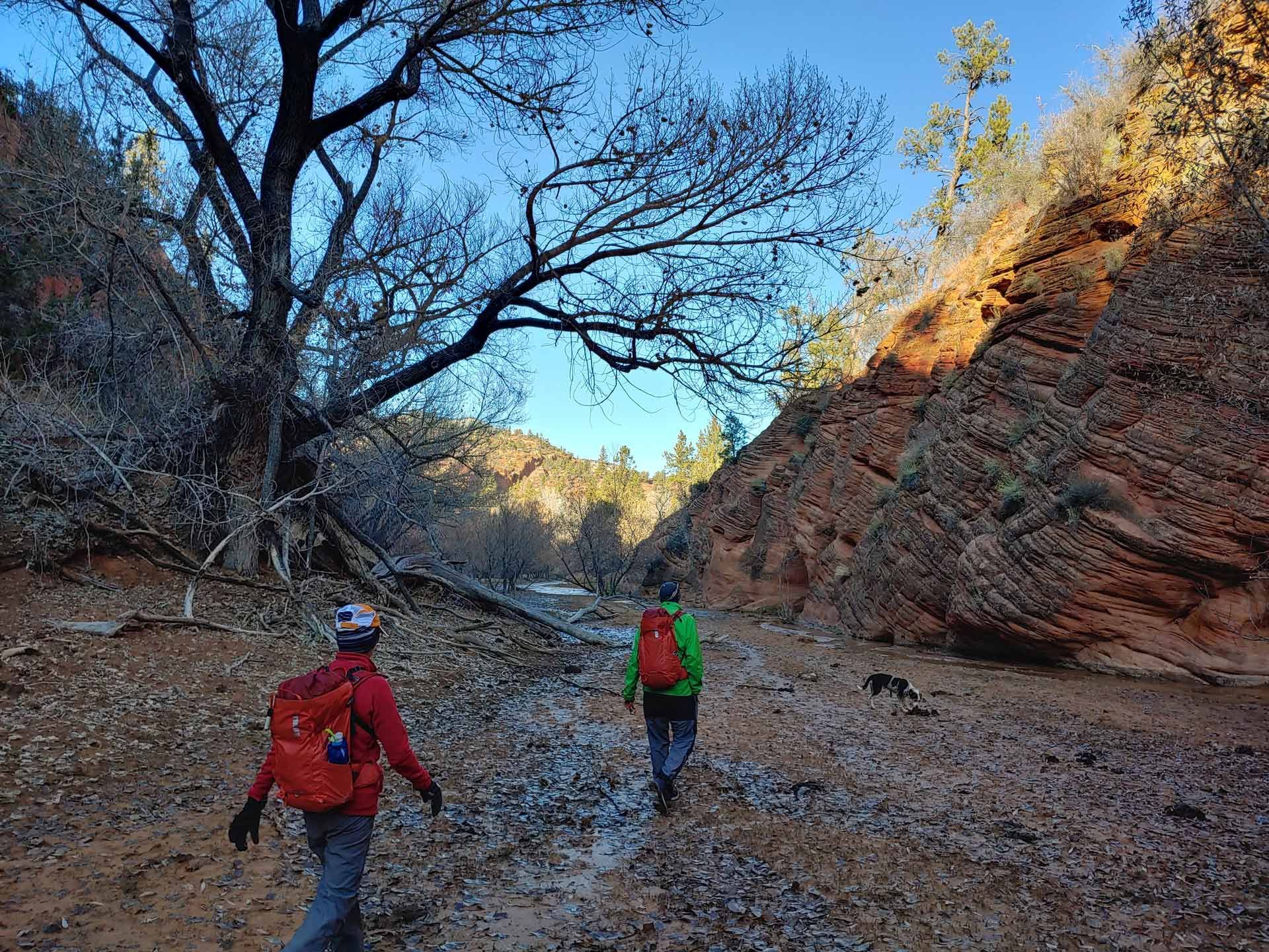 Two people with backpacks are walking through a canyon