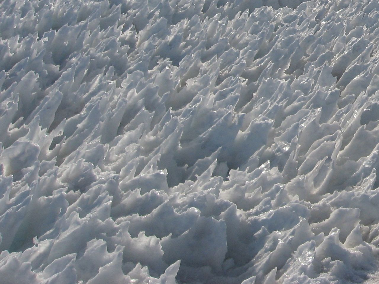 An up close image of snow penitentes