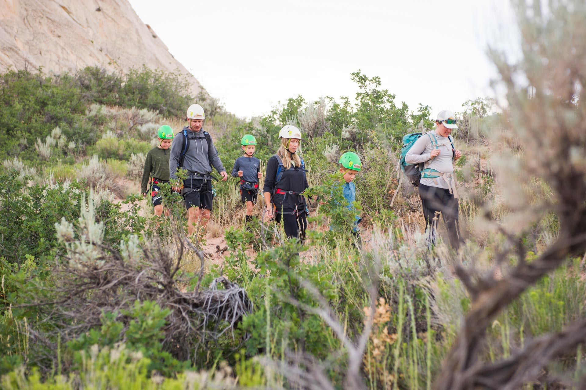 A group of people are walking through a lush green field.