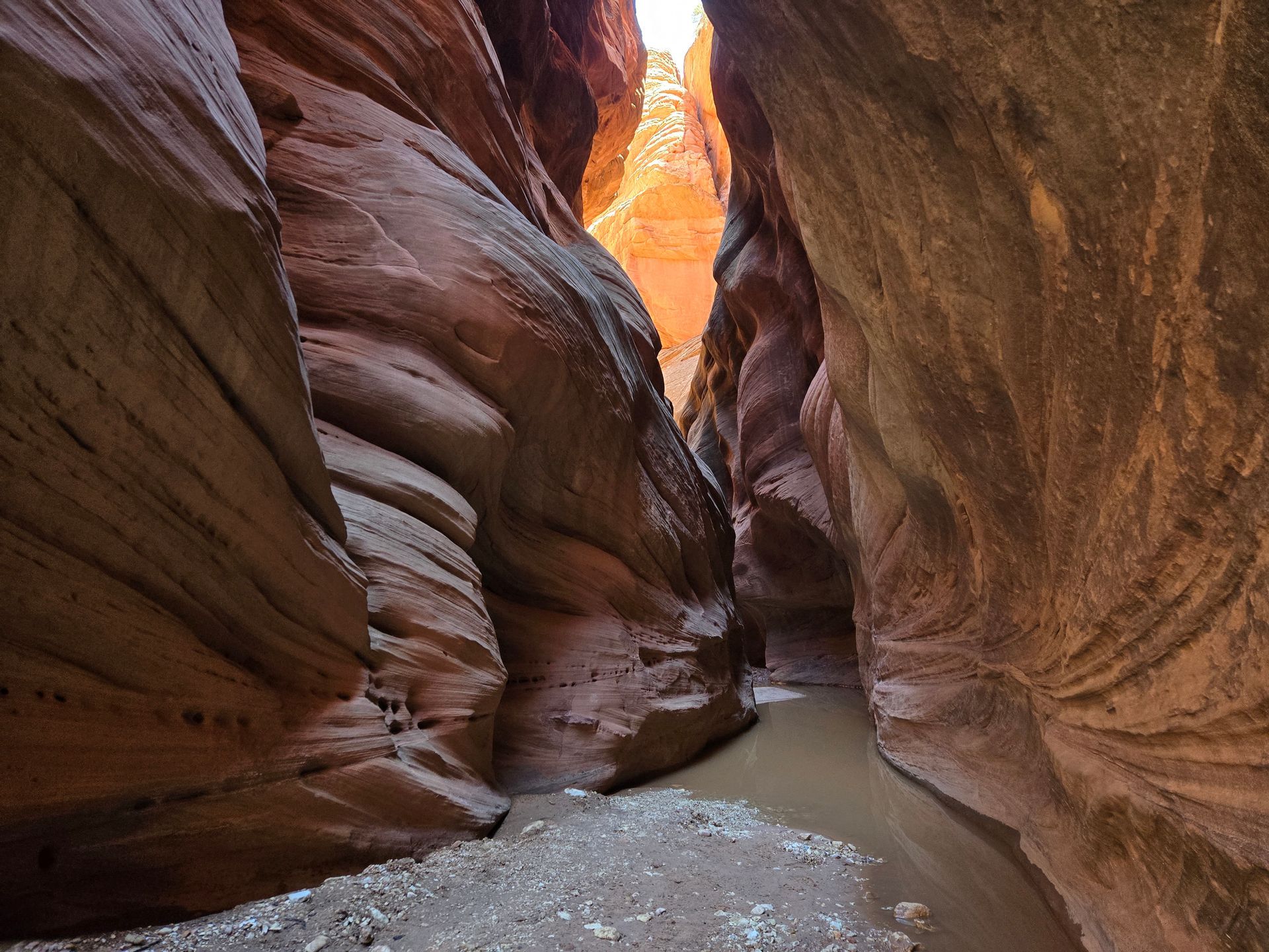 A narrow canyon with a river running through it