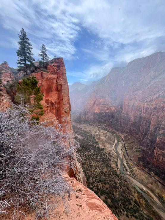 Red rock canyon landscape with a river running through the valley, viewed from a cliff. Cloudy sky, with a few trees.