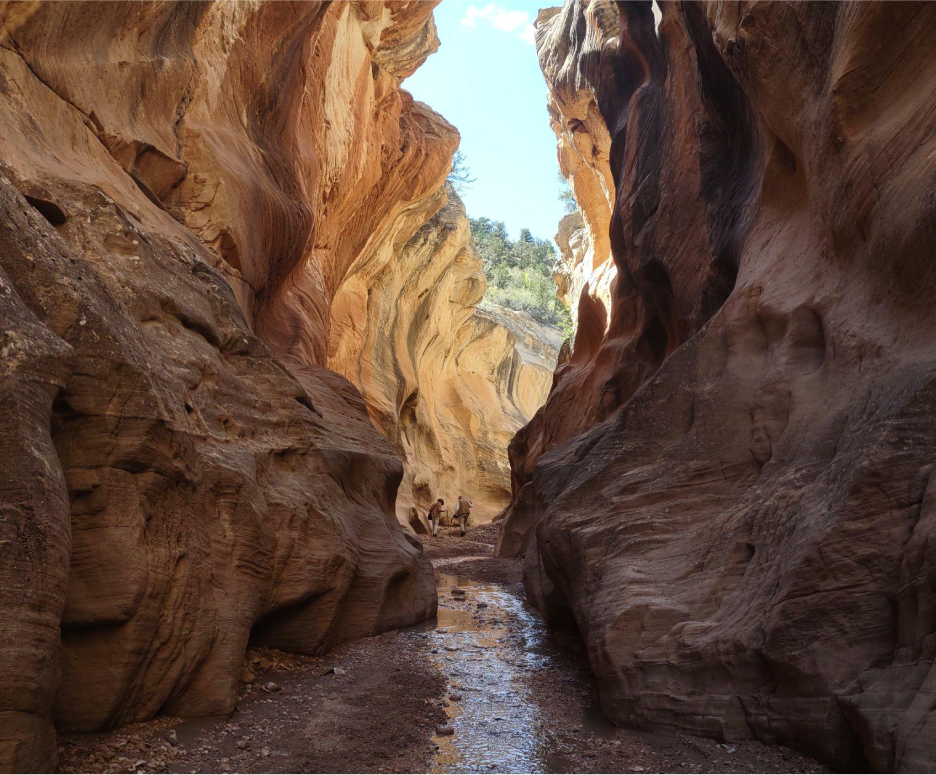 A narrow canyon with a river running through it