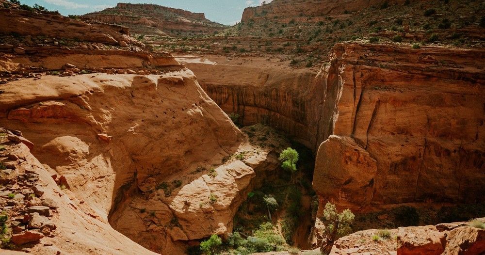 A canyon filled with lots of rocks and trees