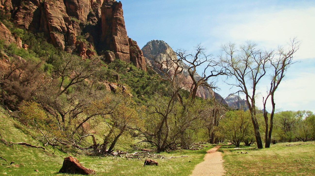 Grotto Trail