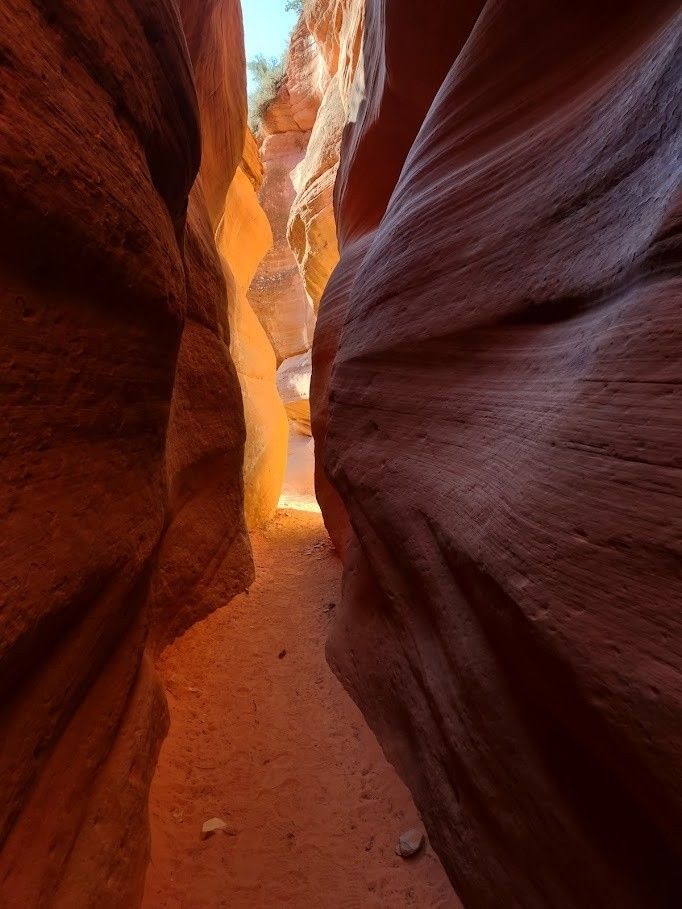 A man standing next to a car with a california license plate