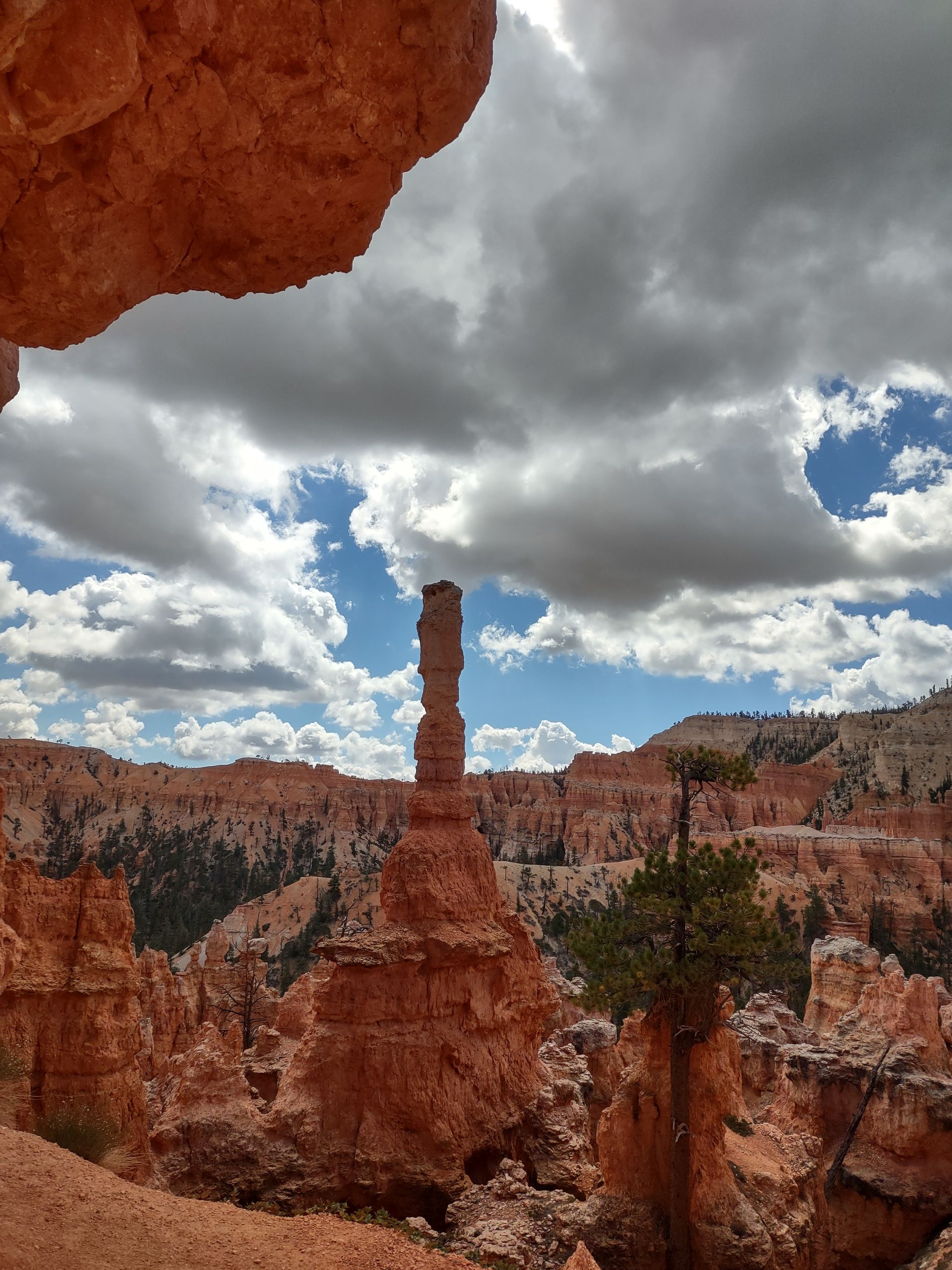 A view of a canyon with a cloudy sky in the background