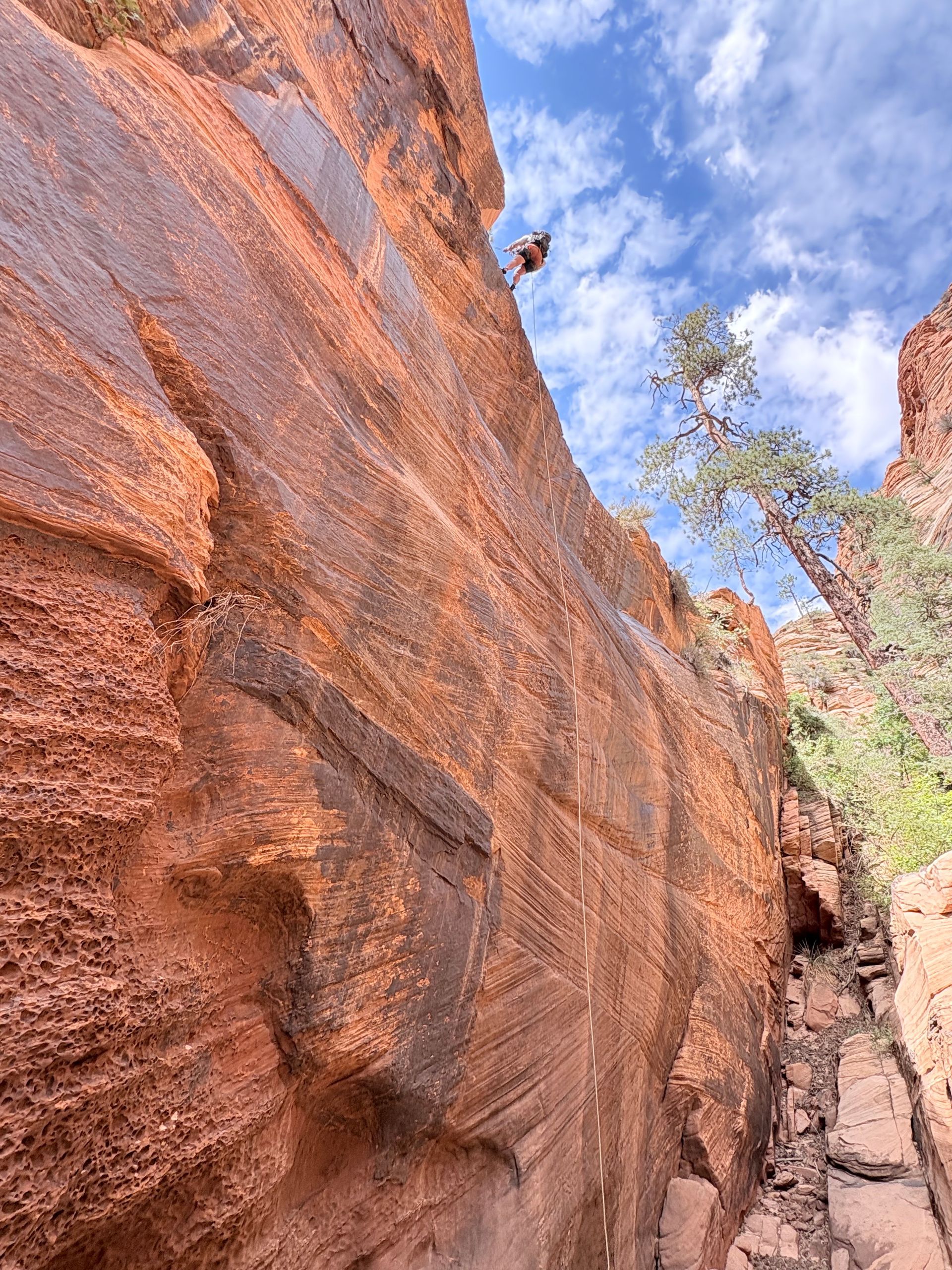Rock climber ascends a red sandstone cliff, under a blue sky with a tree.