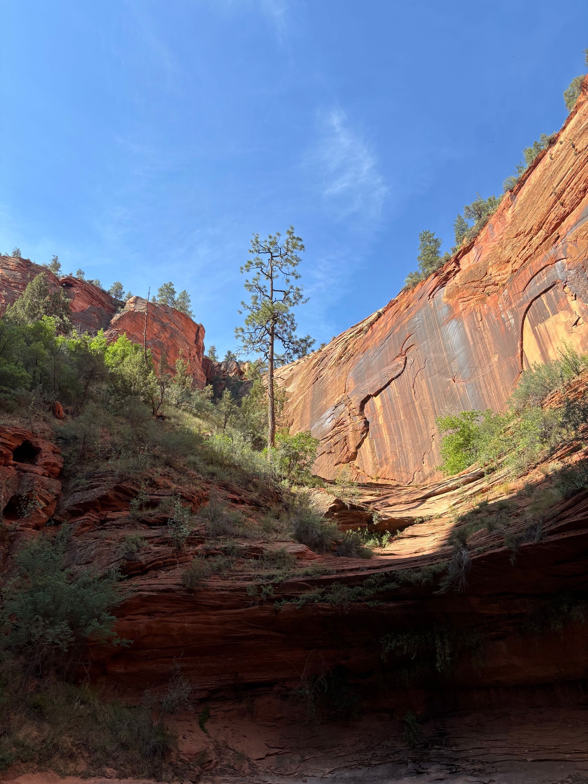 Two people hiking in a river below canyon walls.