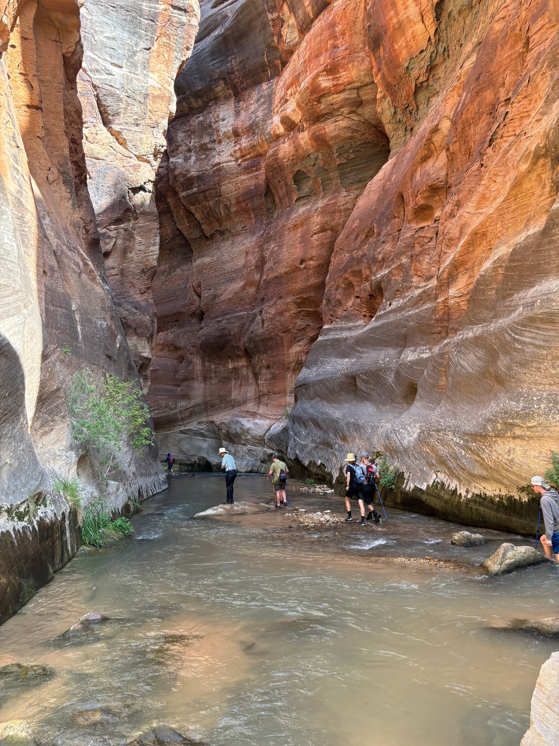 A group of people are walking through a river in a canyon.