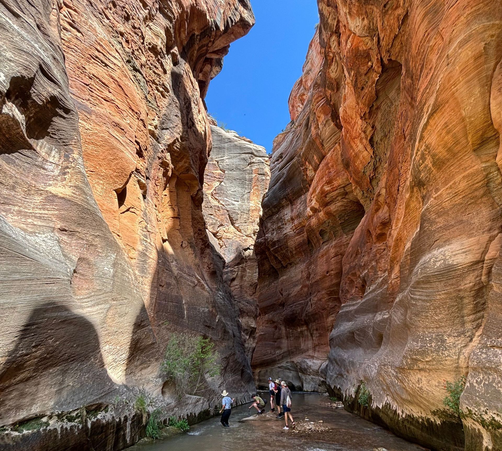 A woman taking a picture of a group of people in the desert