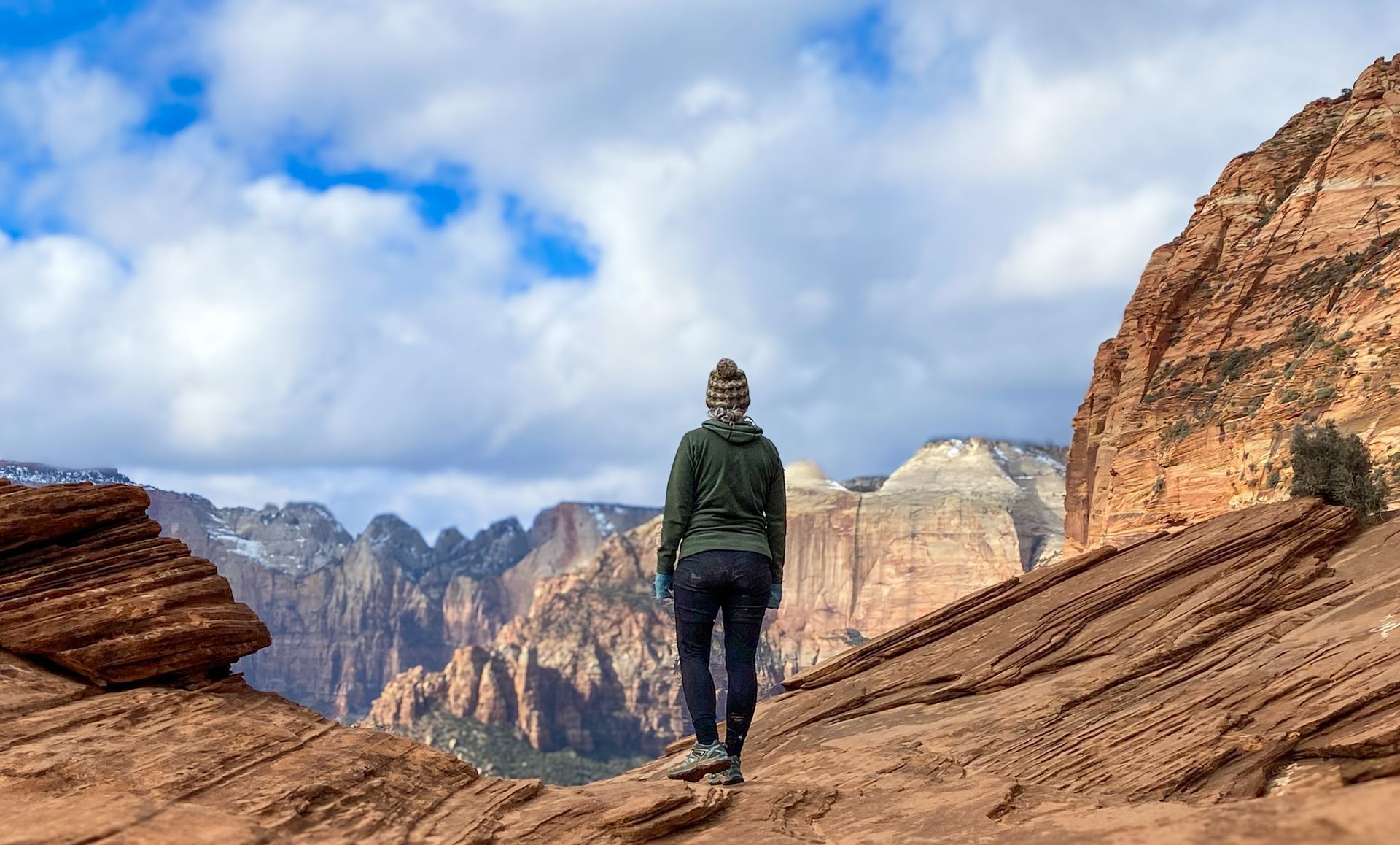 a person standing overlooking zion national park