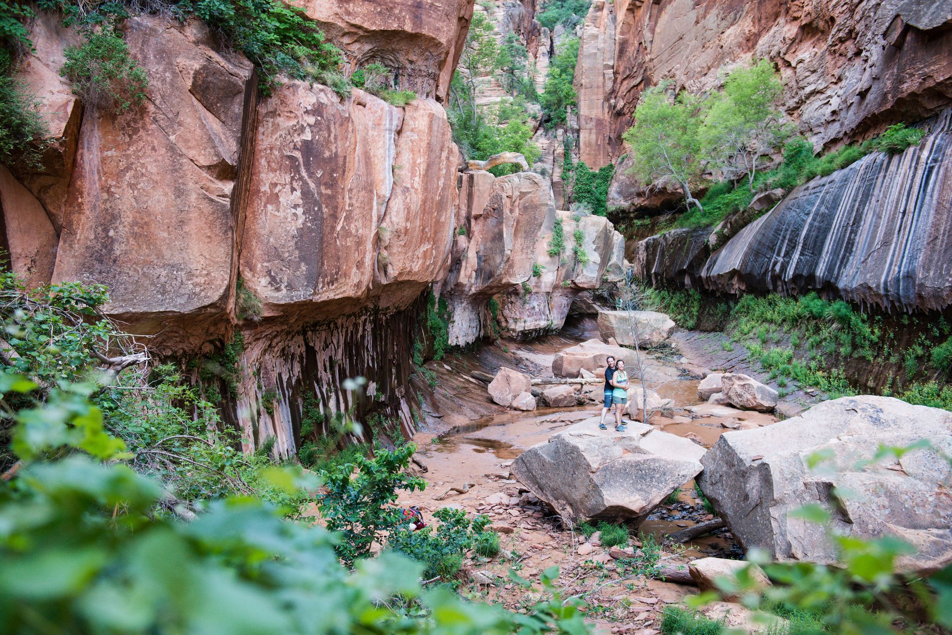 Narrow canyon with person on rock; red rock walls, green foliage, water.