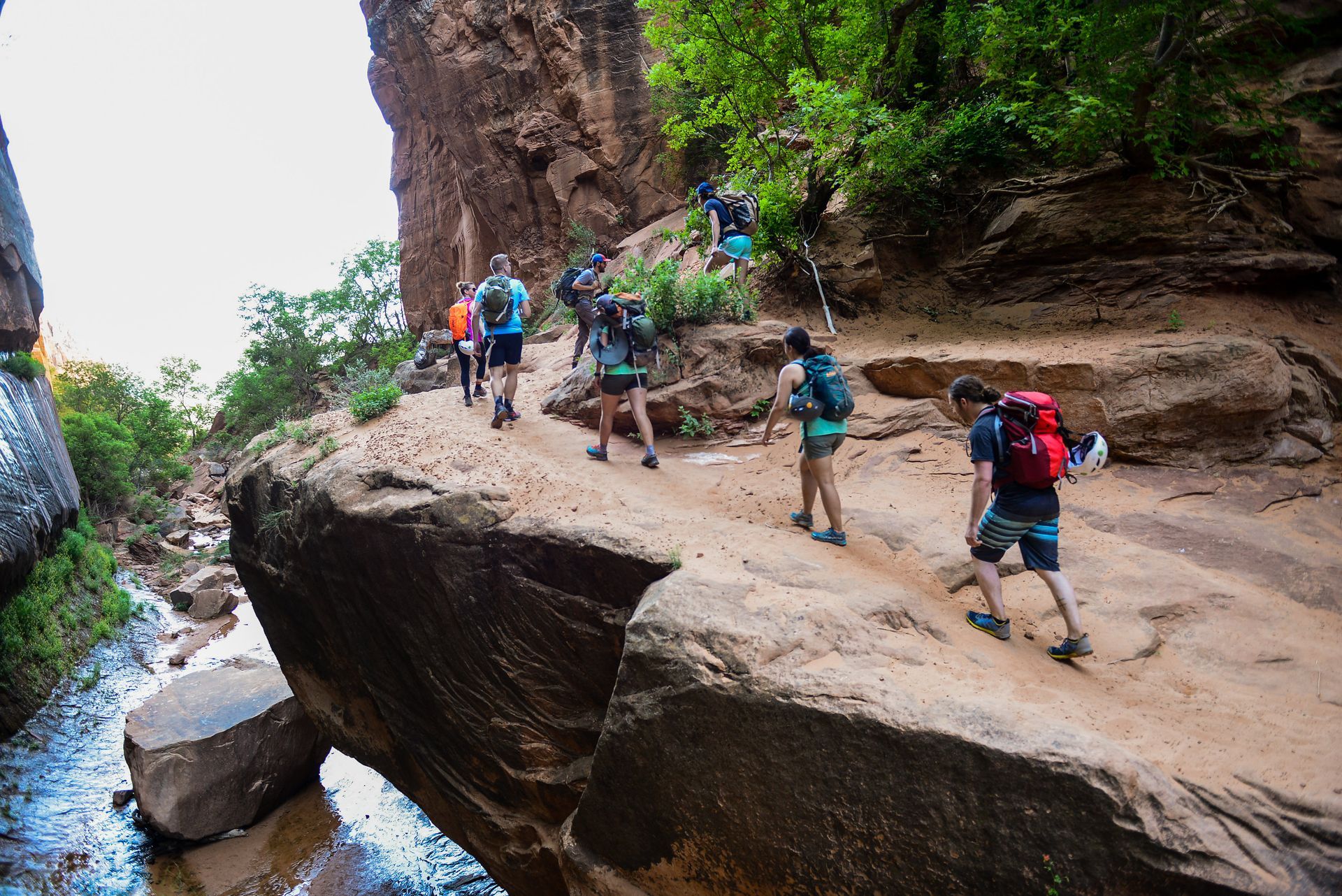 Hikers climb a rocky path through a canyon with water, trees, and sandstone cliffs.
