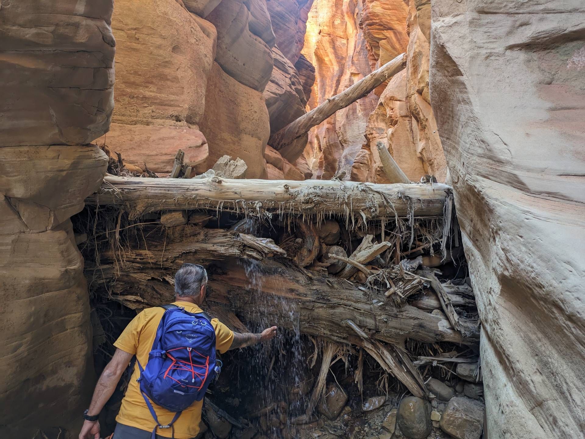 a person putting his hand under running water in a canyon in zion national park