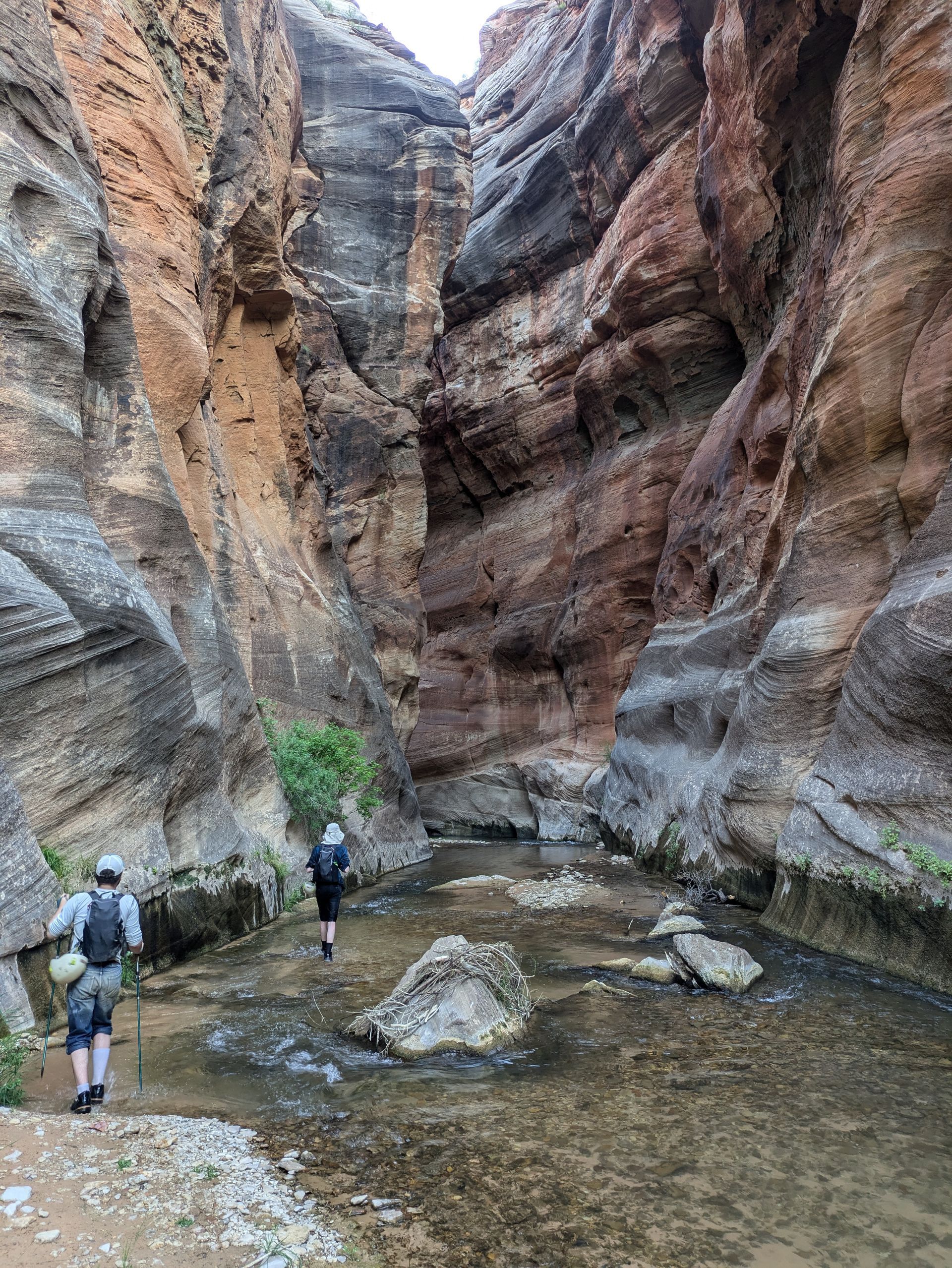 Two people hiking in a river below canyon walls.