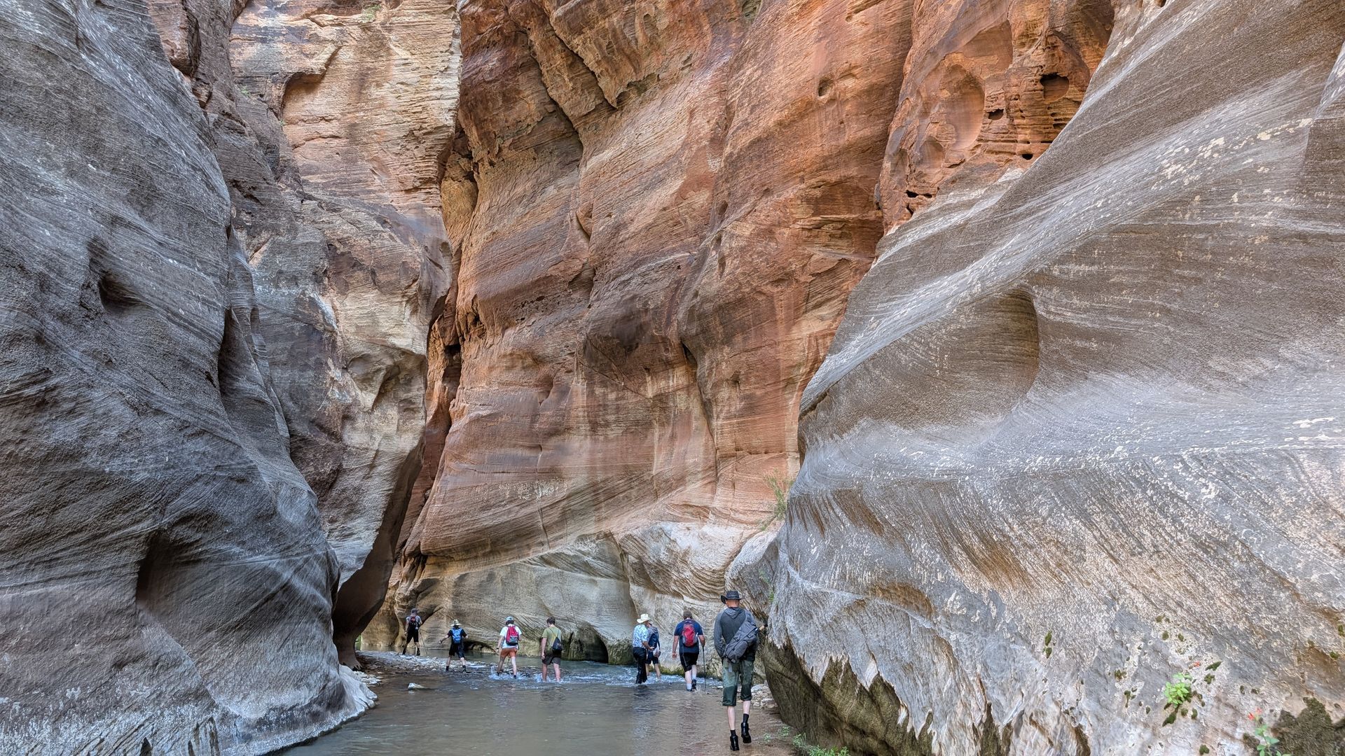 People walk through a stream that flows through a canyon.