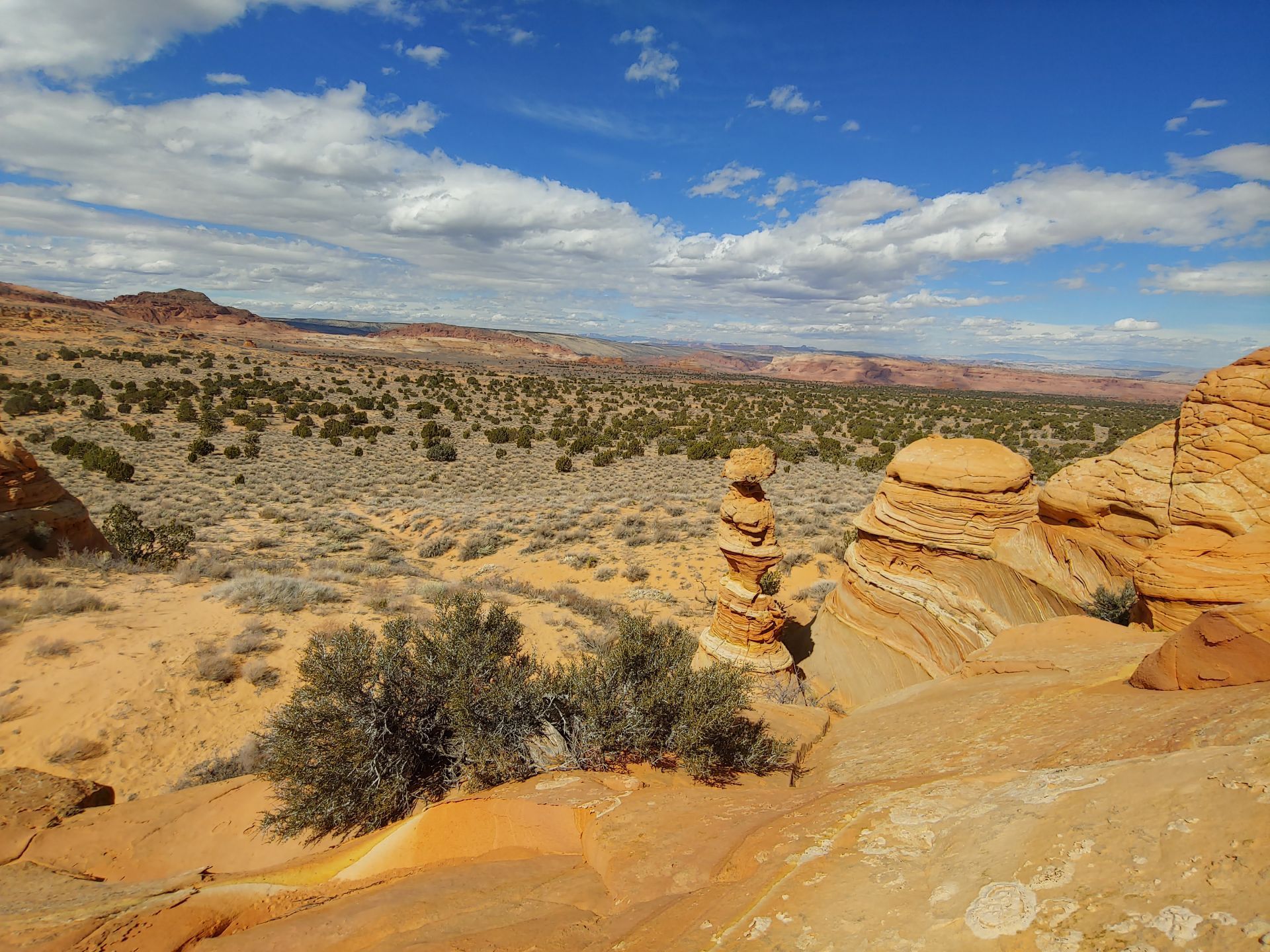 Sandstone formations of South Coyote Buttes