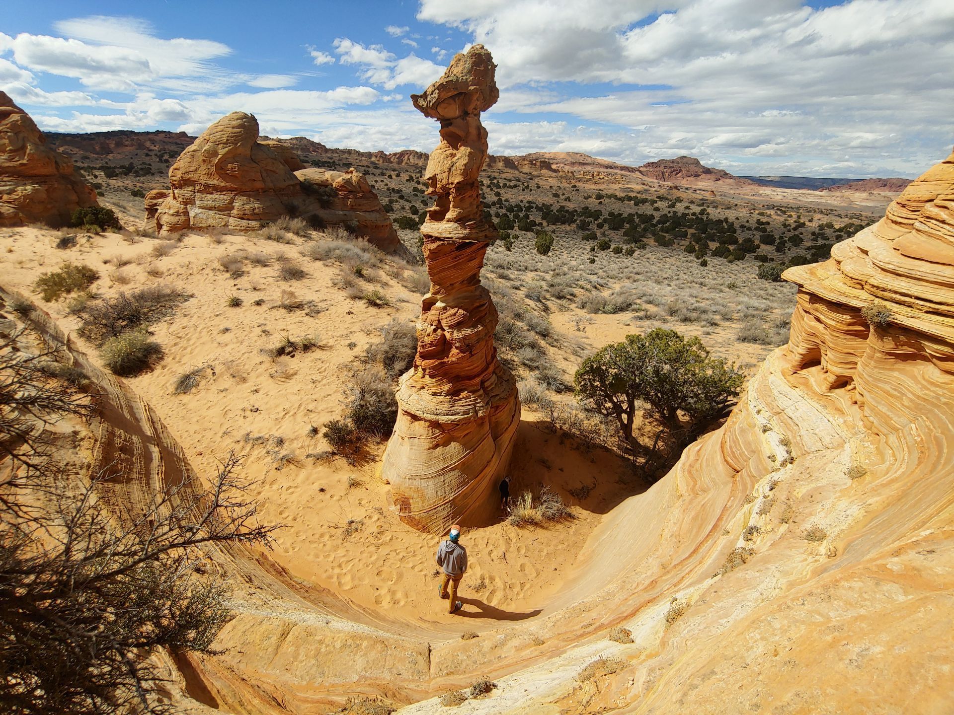 Sandstone formations of South Coyote Buttes
