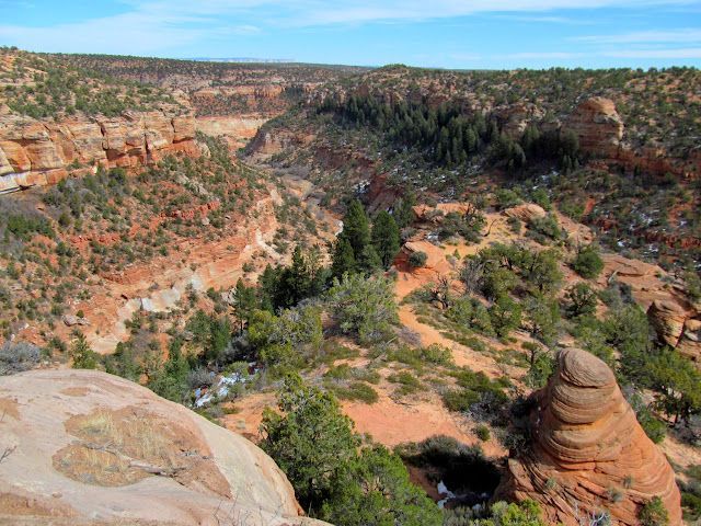 A view of a canyon from the top