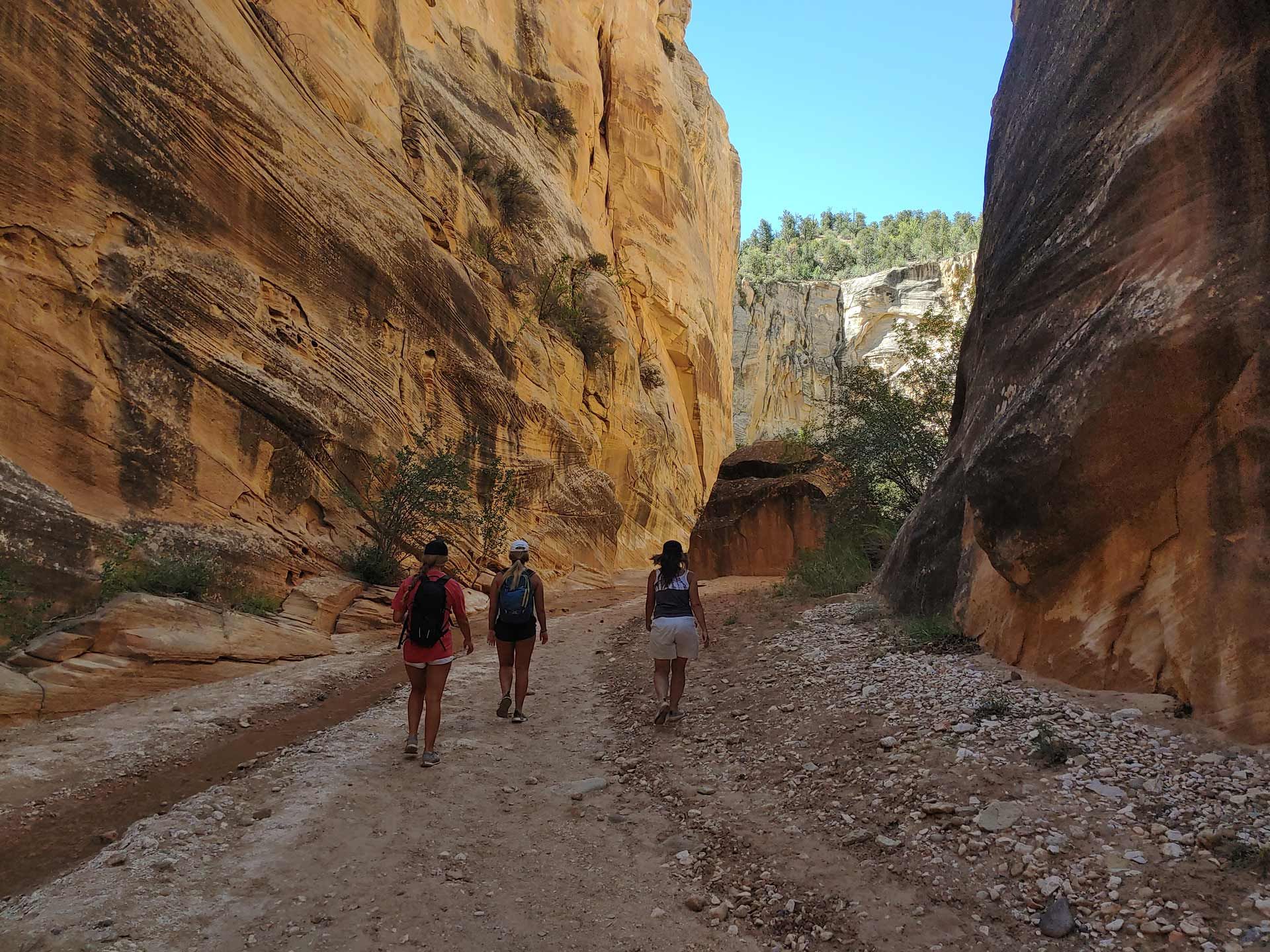 people walking through canyons