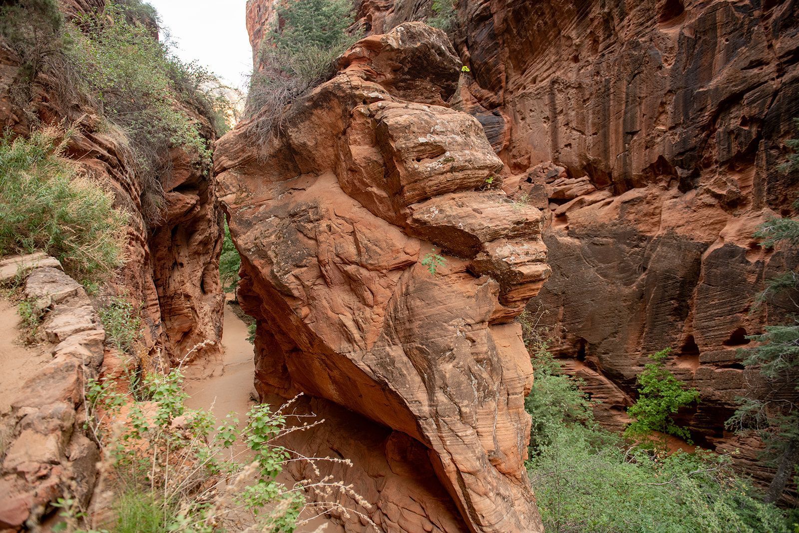 A canyon filled with rocks and trees