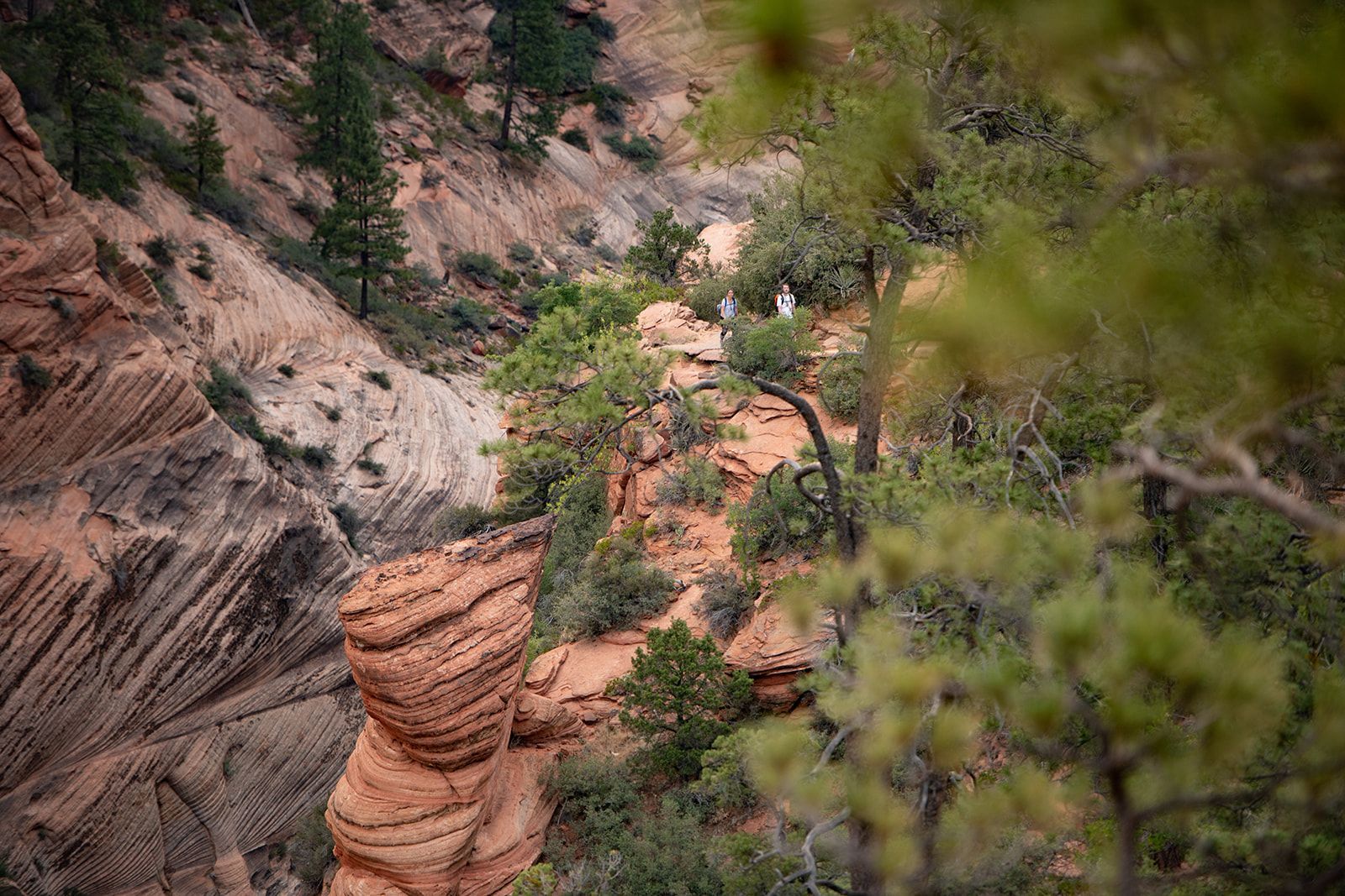 A couple standing on top of a rock formation in the middle of a canyon