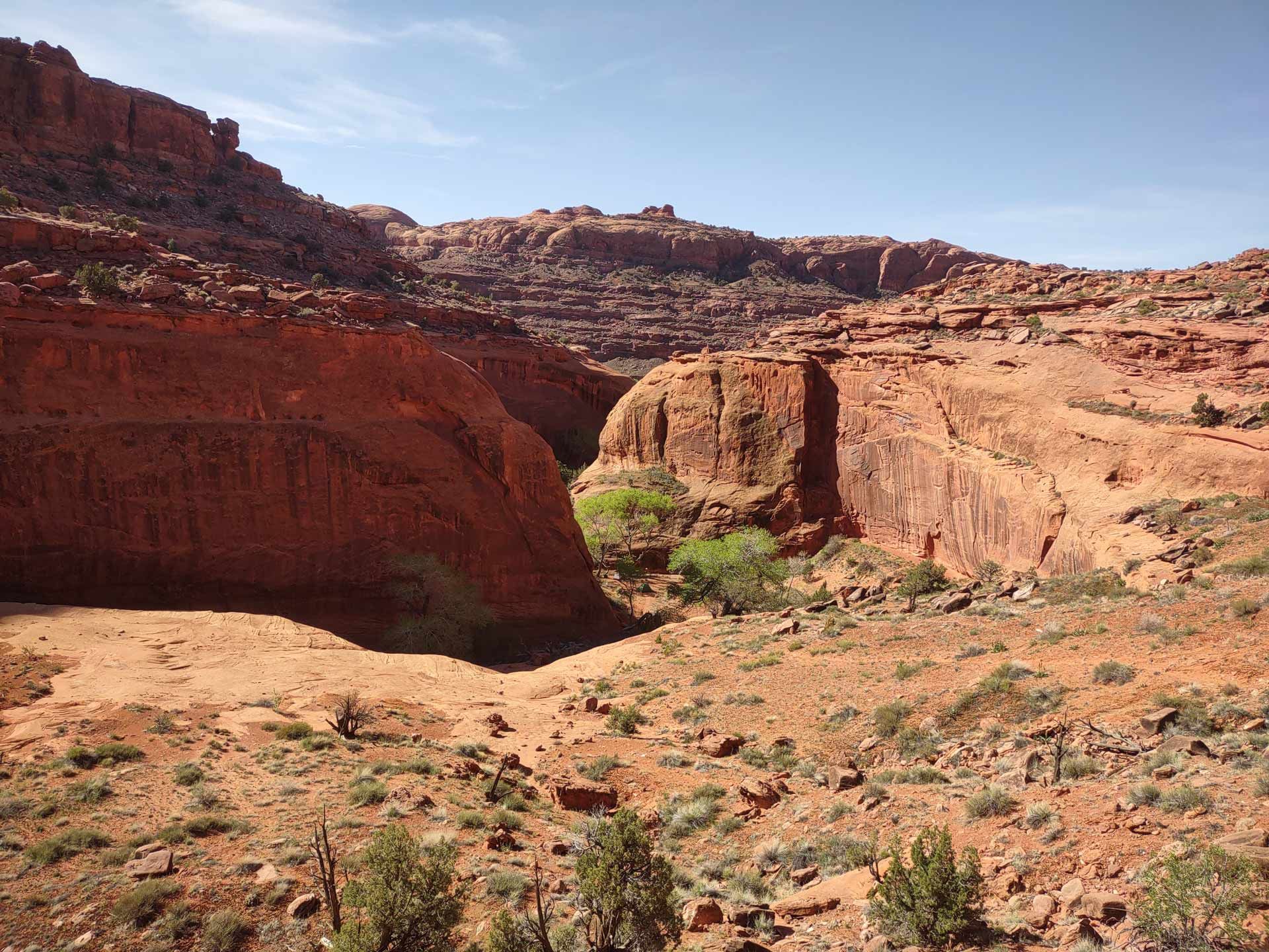 Red rock canyon landscape with a small green oasis under a clear blue sky.